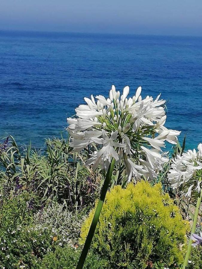 Ikaria Village Maisonette 12 Paphos ภายนอก รูปภาพ