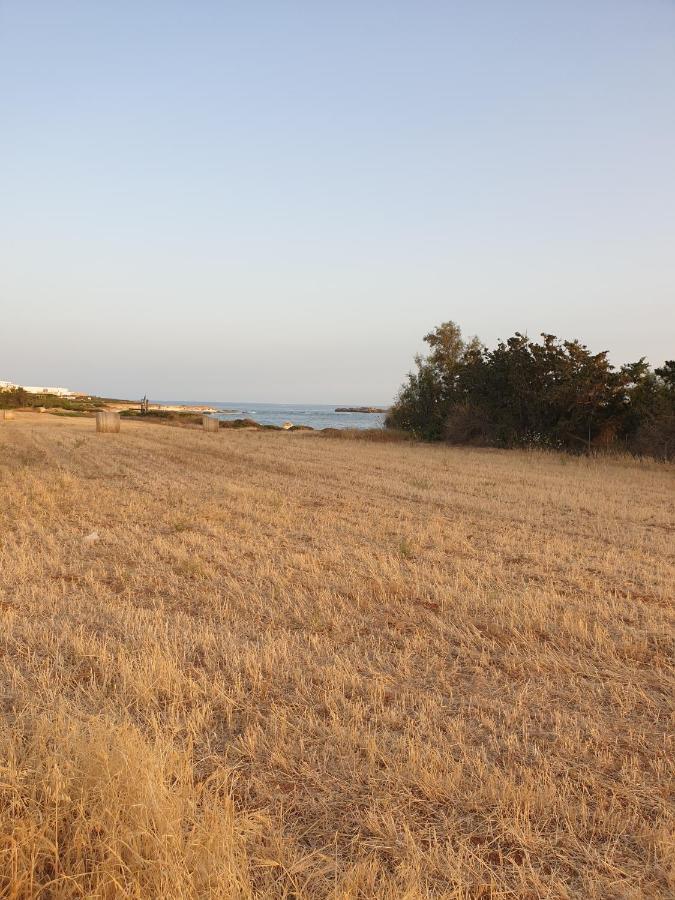 Ikaria Village Maisonette 12 Paphos ภายนอก รูปภาพ