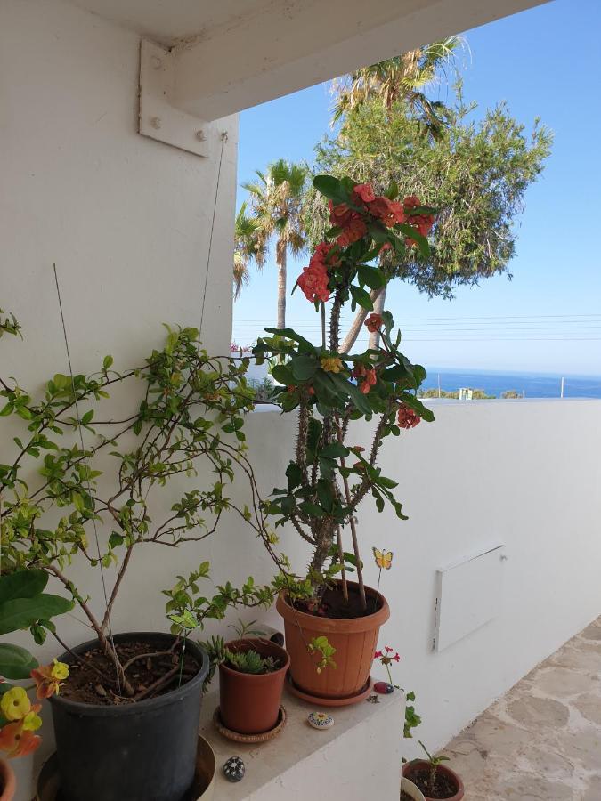 Ikaria Village Maisonette 12 Paphos ภายนอก รูปภาพ